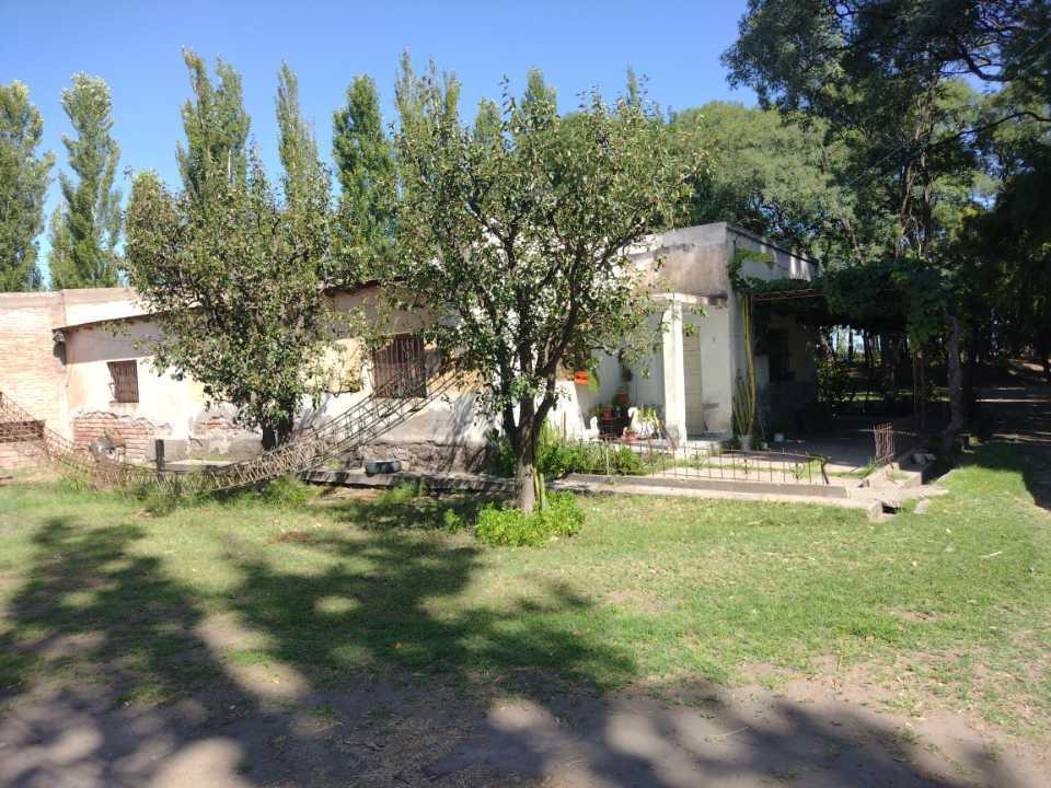 Vendo Finca Productiva a Tranquera Cerrada San Rafael 5