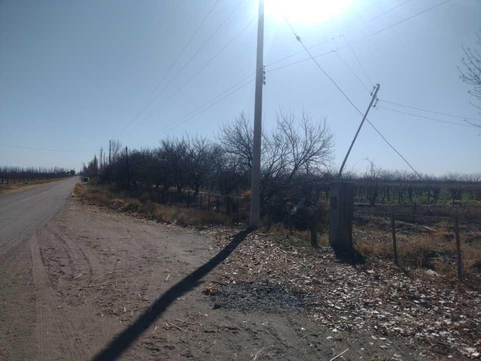 Vendo Finca 5 Hectáreas con Vid San Rafael 3