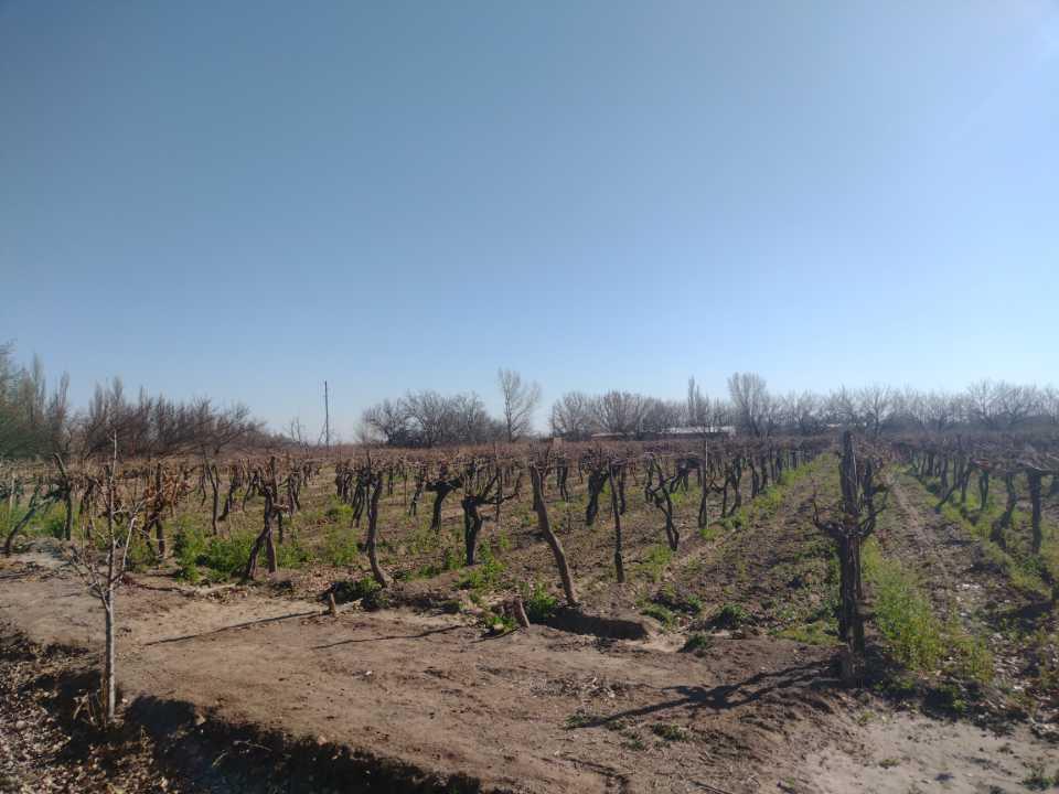 Propiedad en Argentina
