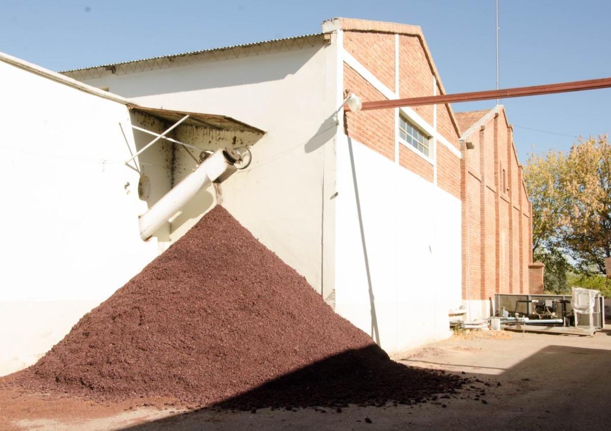 Bodega, Finca Oportunidad San Rafael 4