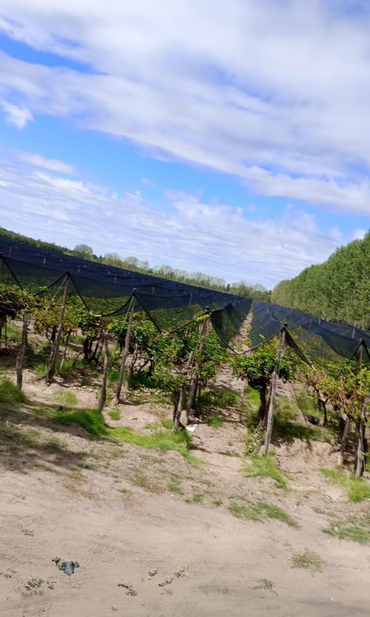 Finca en Venta San Rafael 3