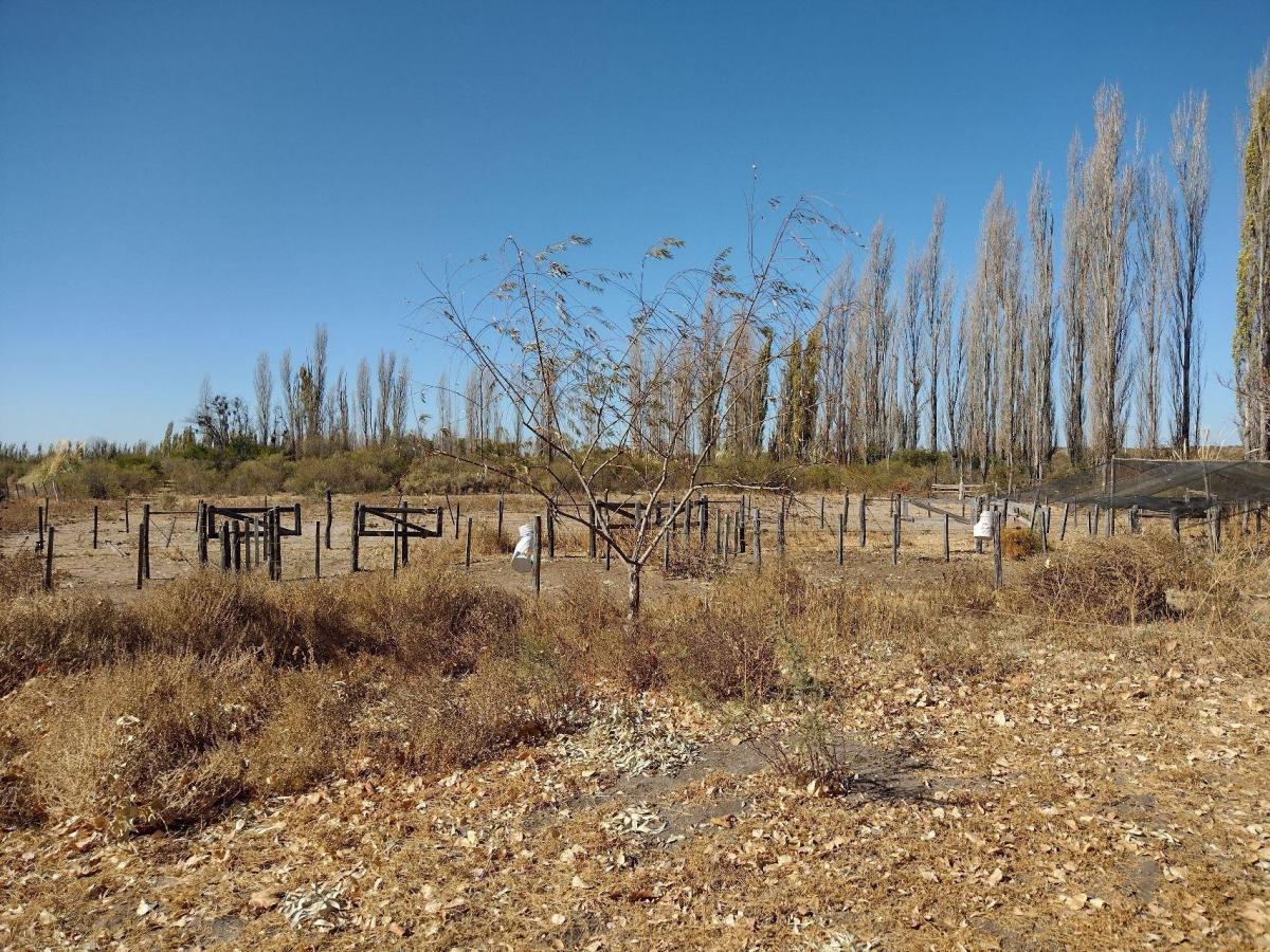 Vendo Chalet, Caballeriza Polero 1