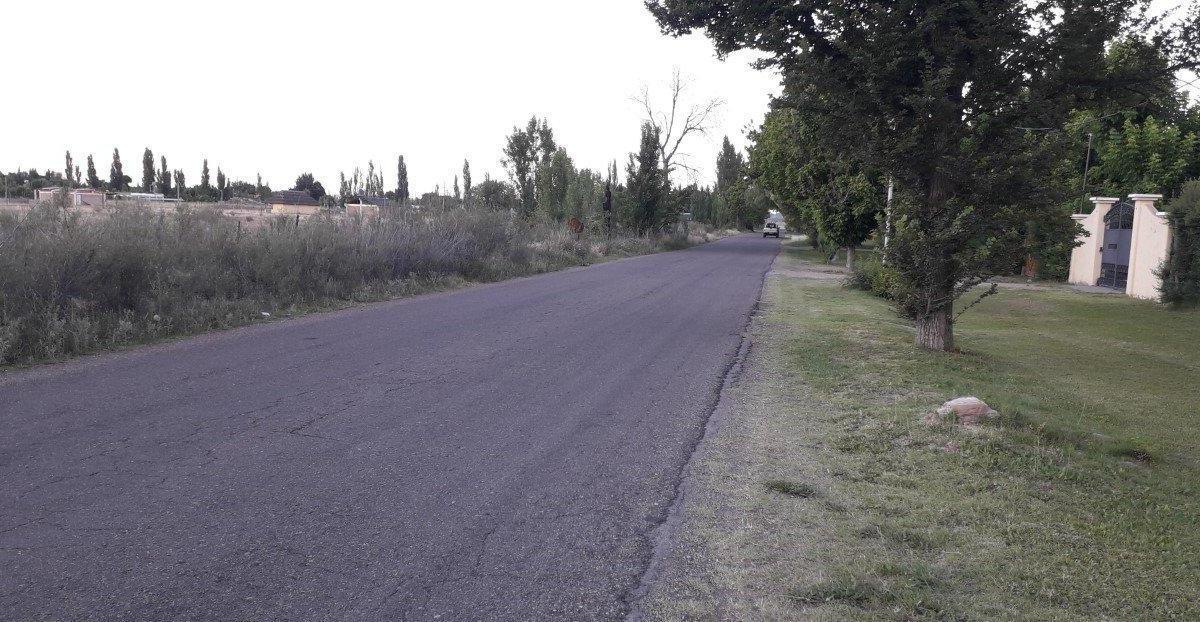 Vendo Lote Cuadro Benegas 3