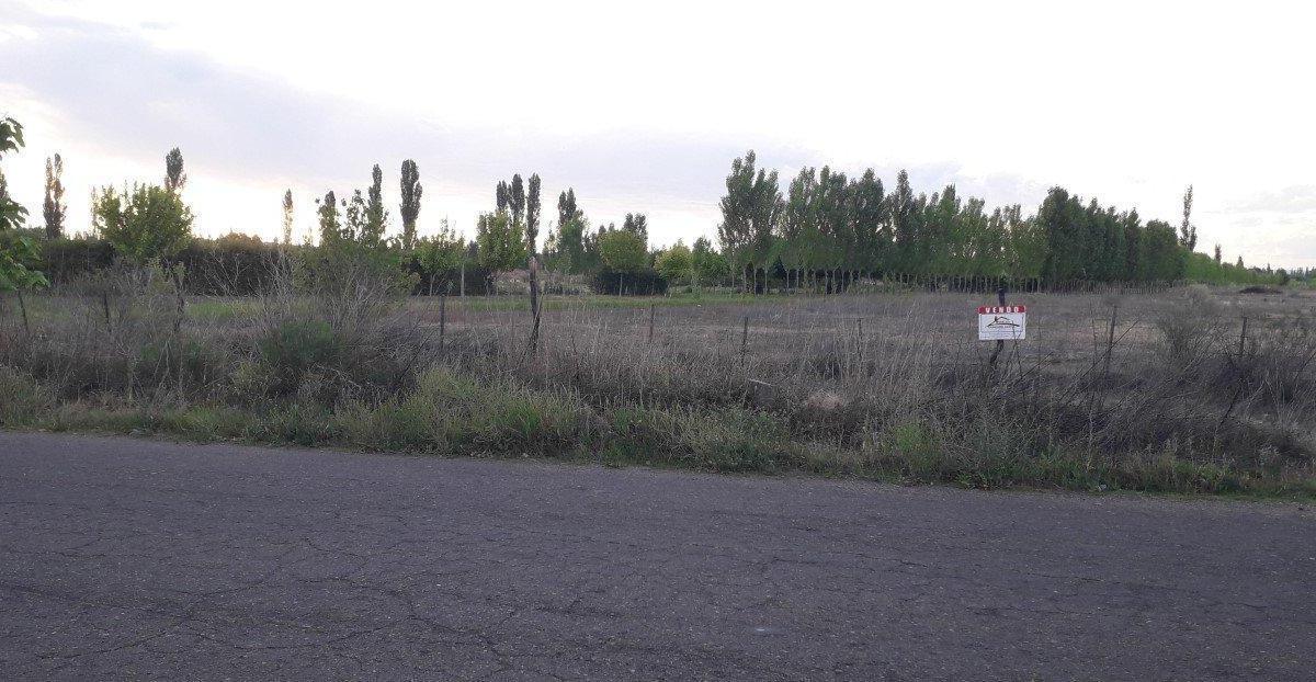 Vendo Lote Cuadro Benegas 2