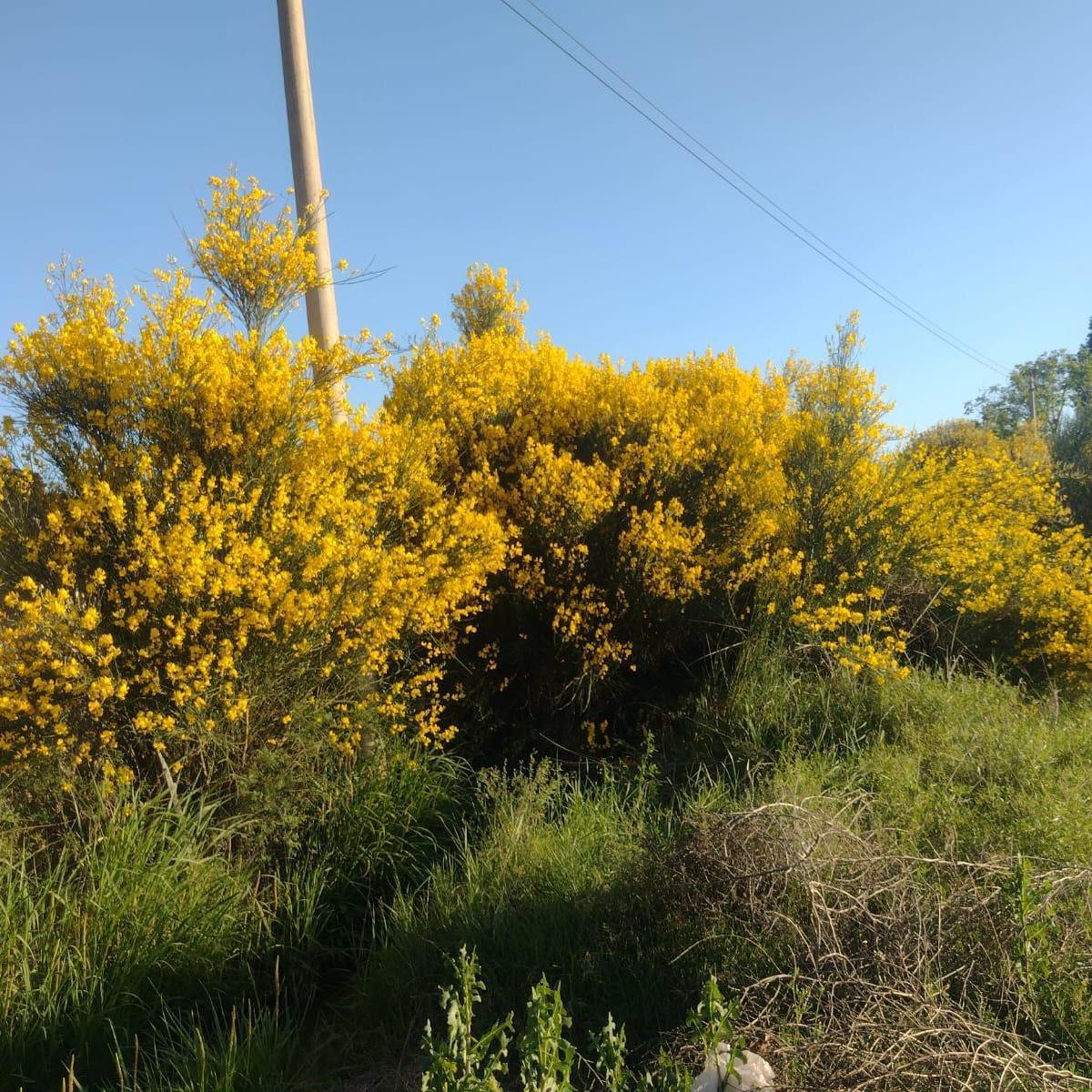 Finca con Casa Dos Ha 4