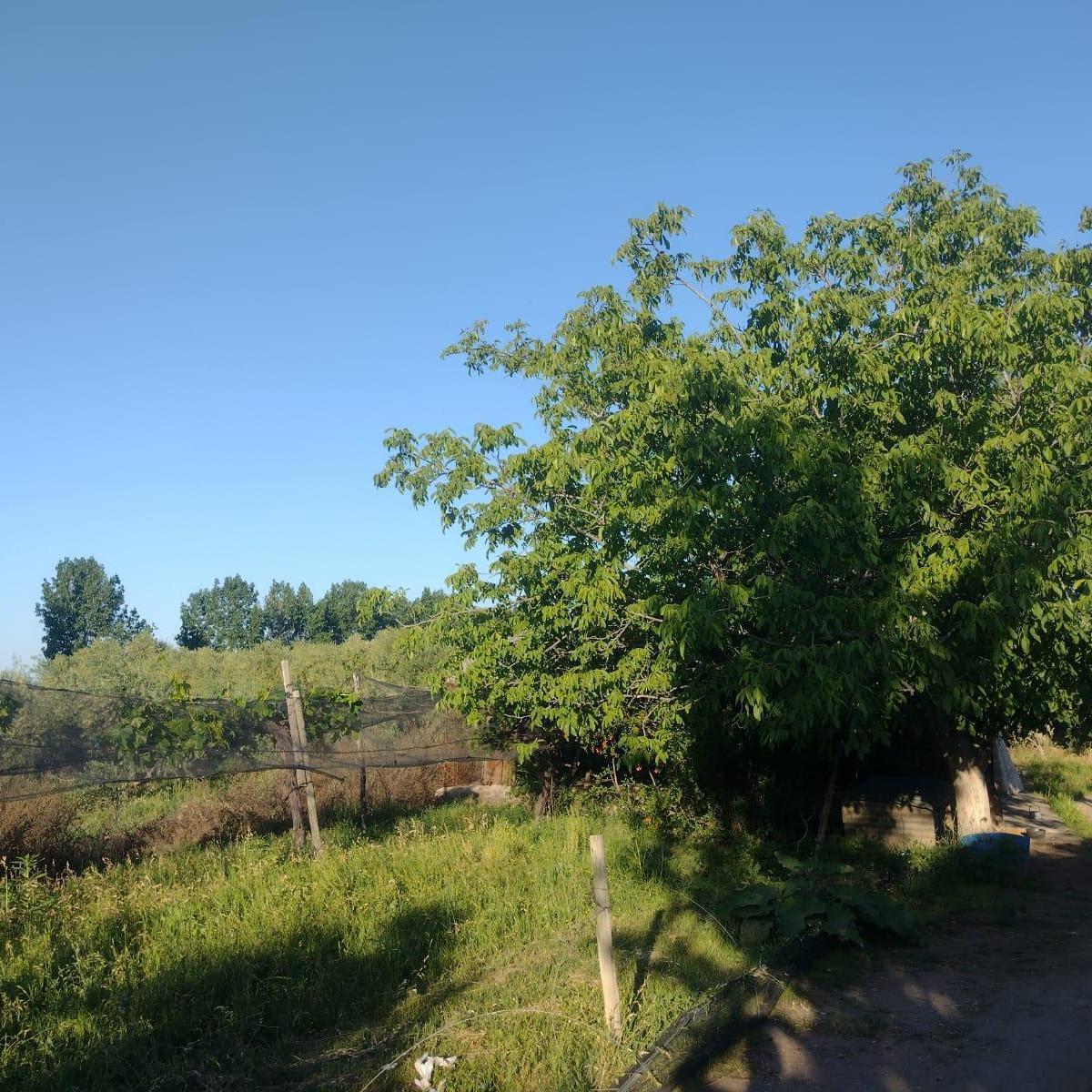 Finca con Casa Dos Ha 5