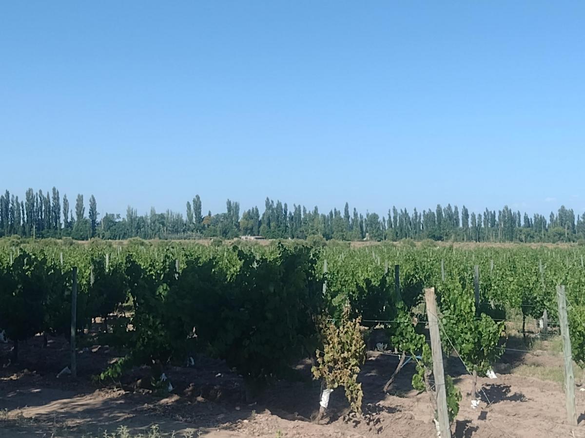 Propiedad en Argentina