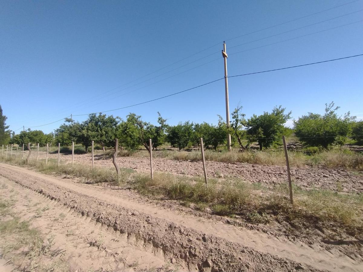 Finca 13 Ha con Produccion, Casa y Galpon 4