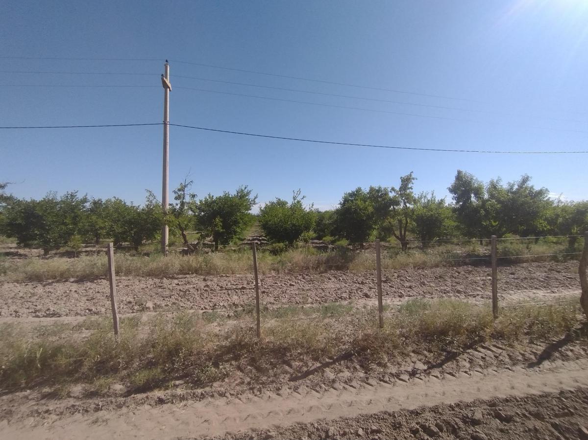 Finca 13 Ha con Produccion, Casa y Galpon 2