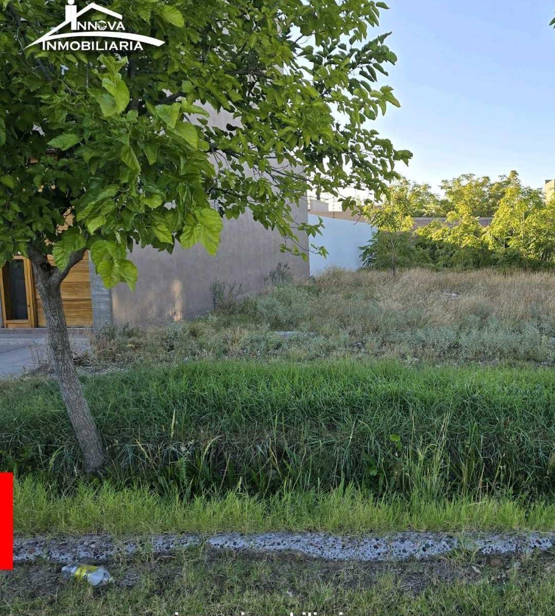 Lote en Olivos del Fundador San Rafael 1