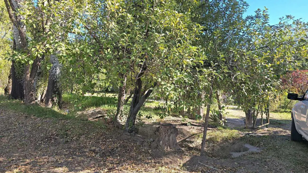VENDO FINCA SAN RAFAEL 5