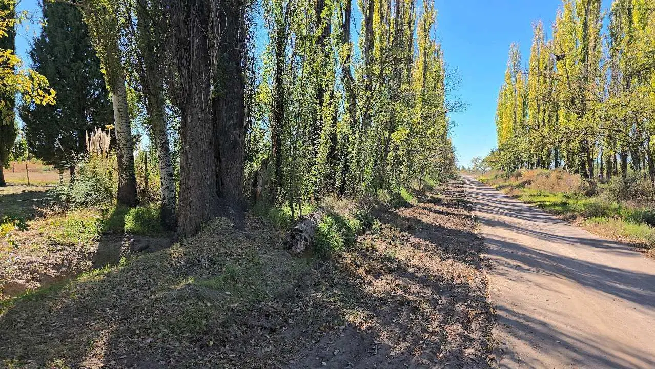 VENDO FINCA SAN RAFAEL 3