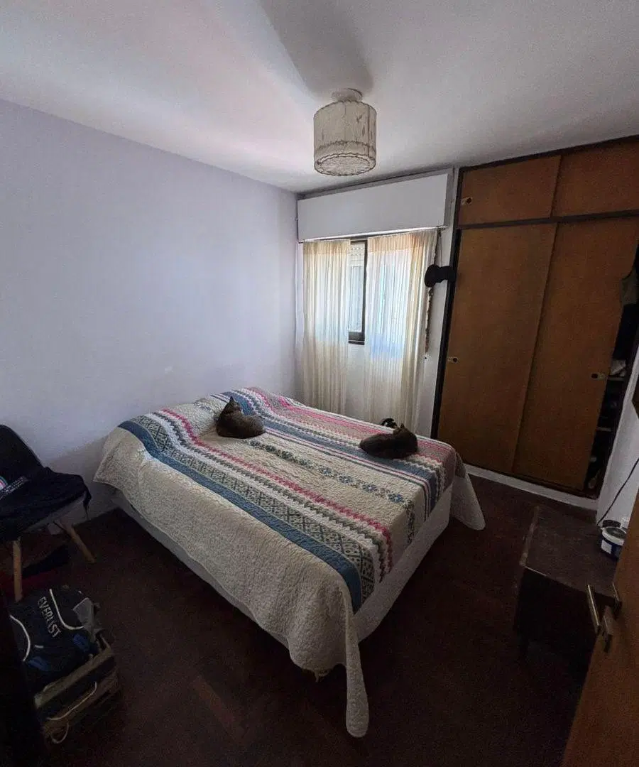 Excelente dpto de 1 dormitorio con Amplio Patio 5