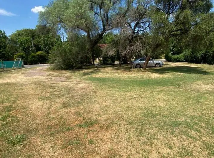 Casa en Las Delicias una planta 4