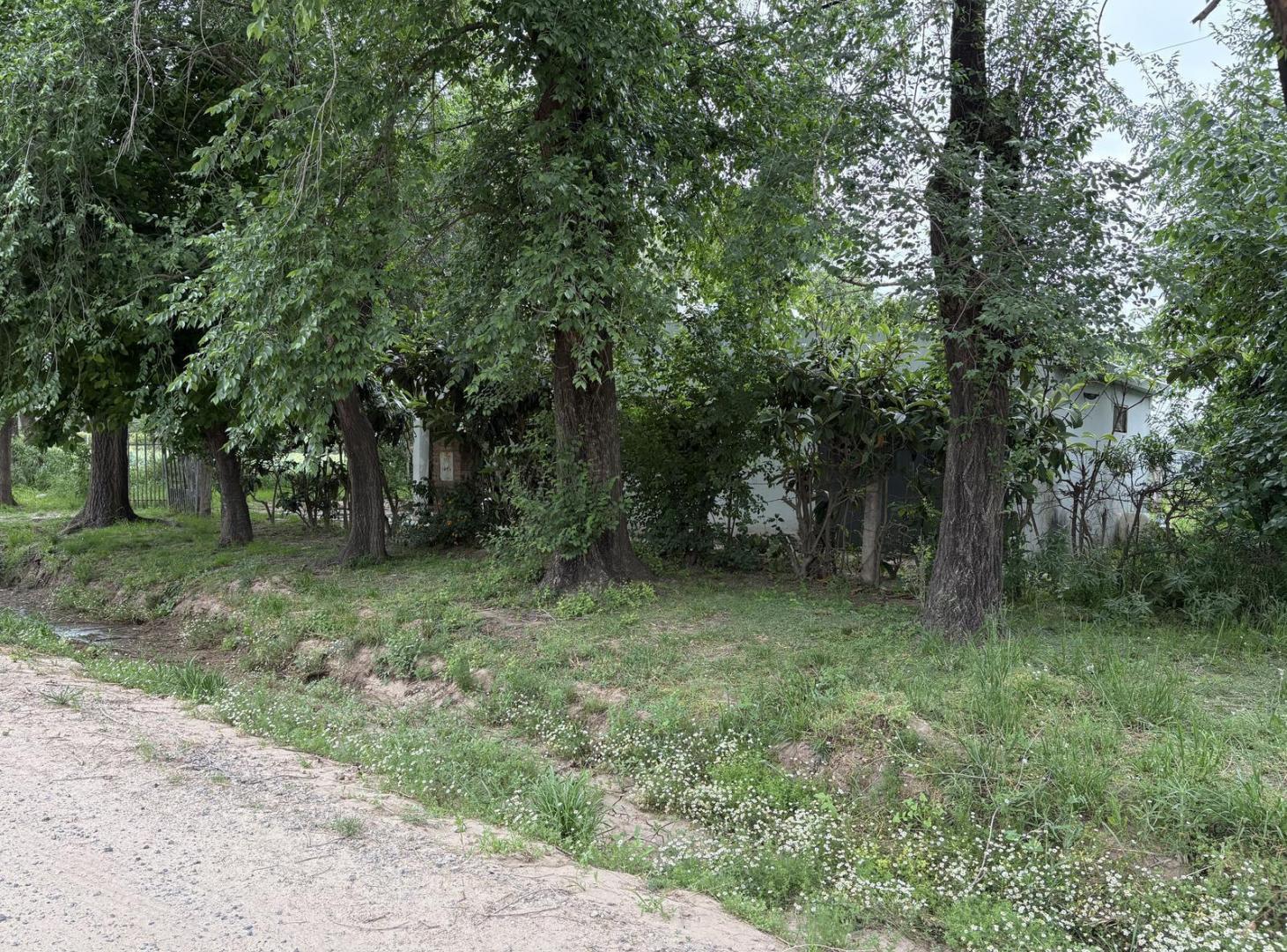 Terreno con casa ubicado en Berutti y Gobernador Vera