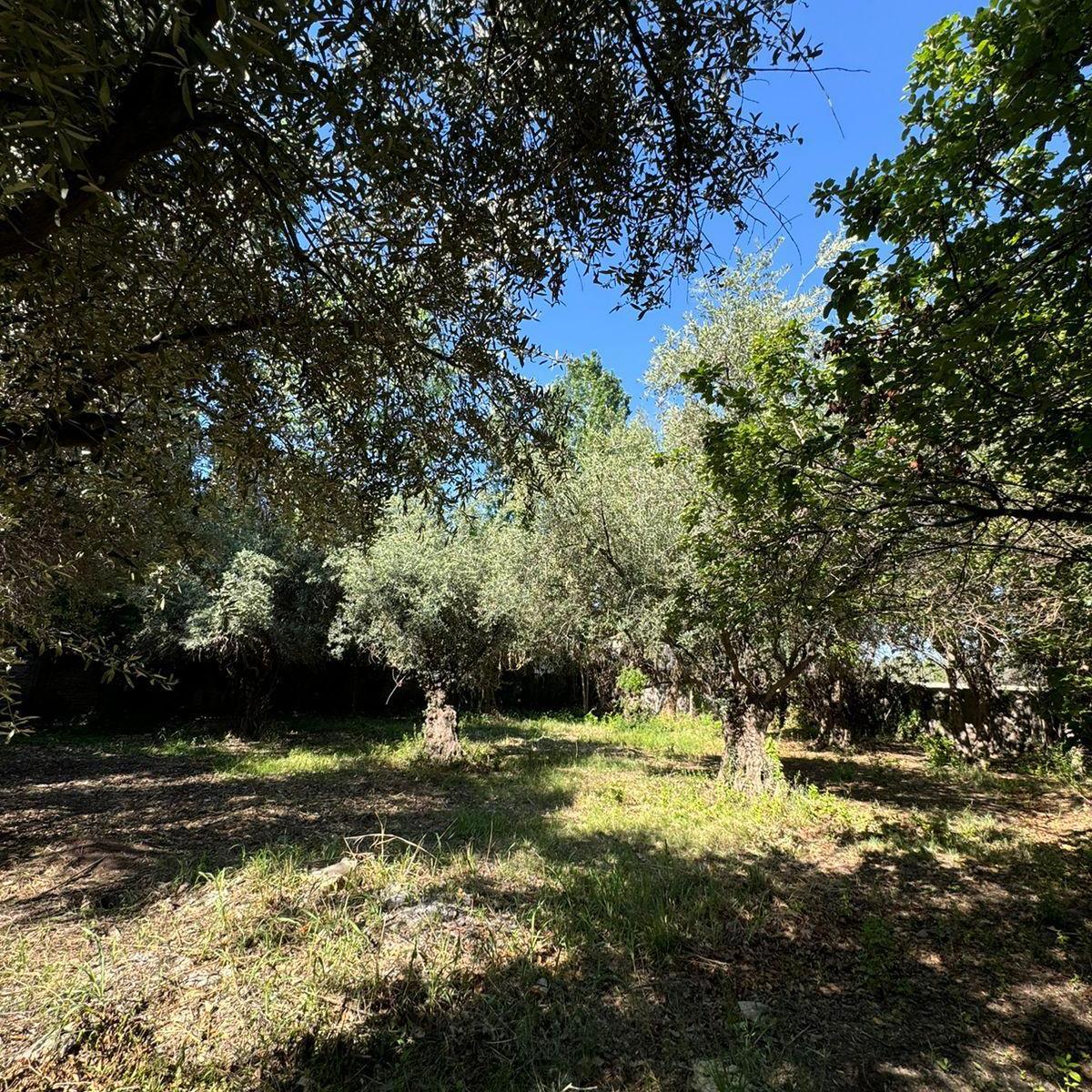 Terreno en Chacras de Coria 2