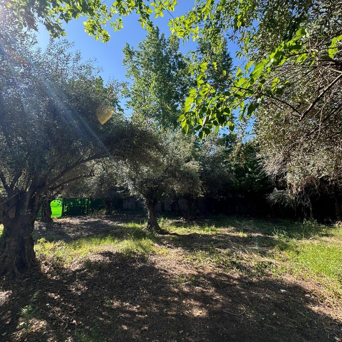 Terreno en Chacras de Coria 3