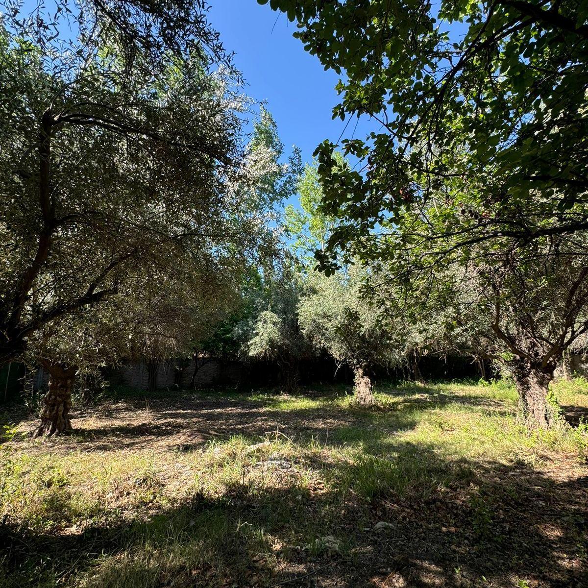 Terreno en Chacras de Coria 4