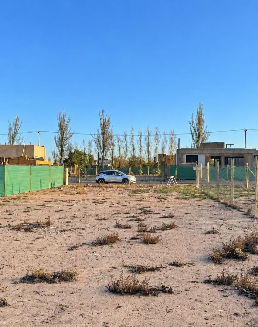 Foto de Terreno Medial, imagen 5