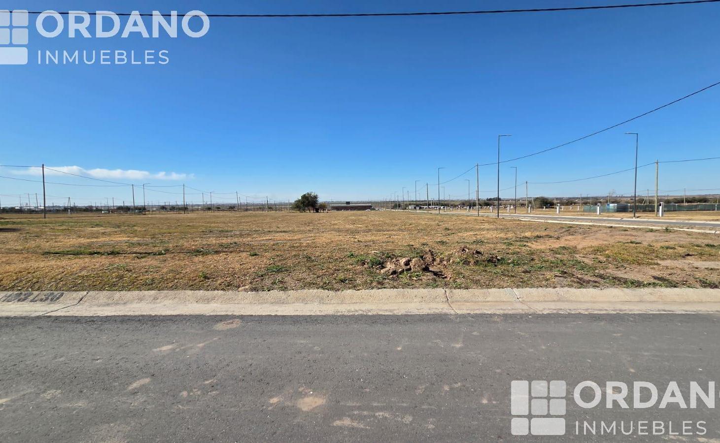 DOCTA CENTRAL LOTE 250M2 apto duplex Entrega 2028