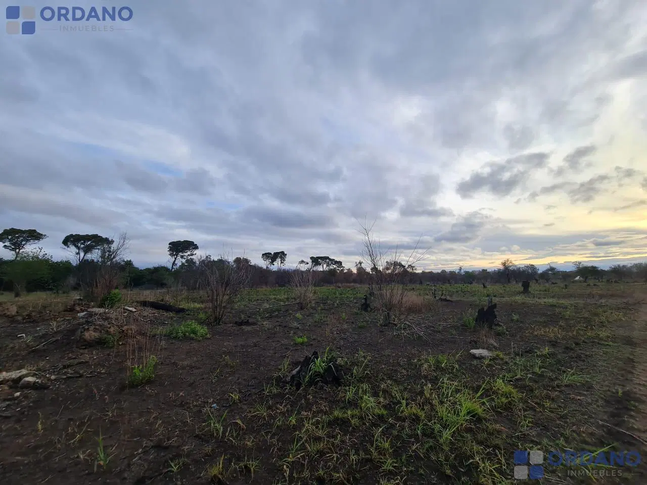VENTA DE 9 HECTAREAS EN VILLA RETIRO 3