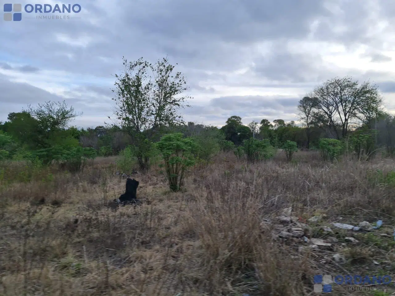 VENTA DE 9 HECTAREAS EN VILLA RETIRO 4