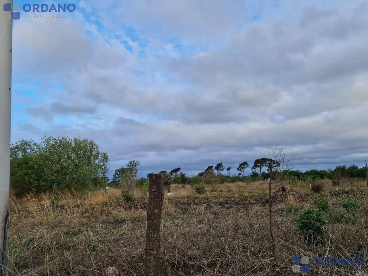 VENTA DE 9 HECTAREAS EN VILLA RETIRO 8