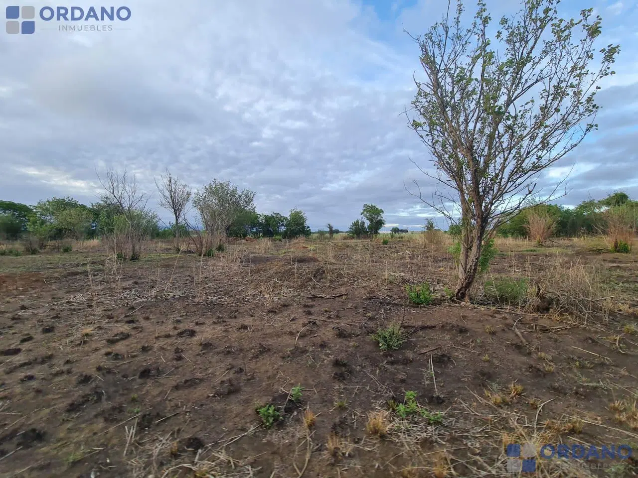 VENTA DE 9 HECTAREAS EN VILLA RETIRO 5
