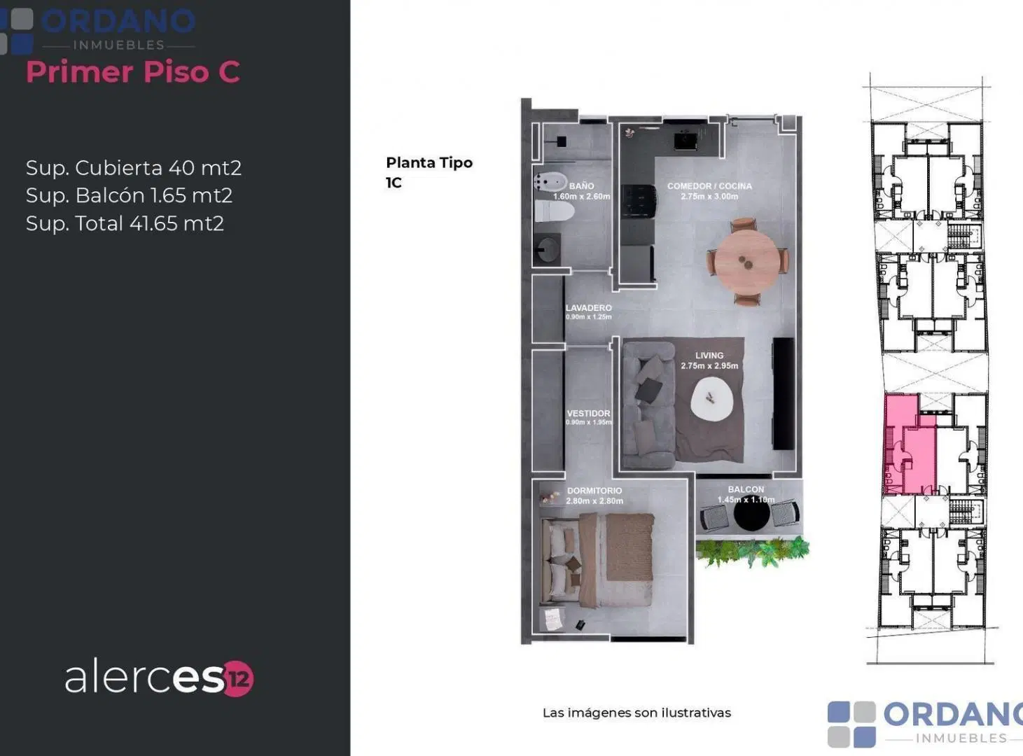 Plano 6