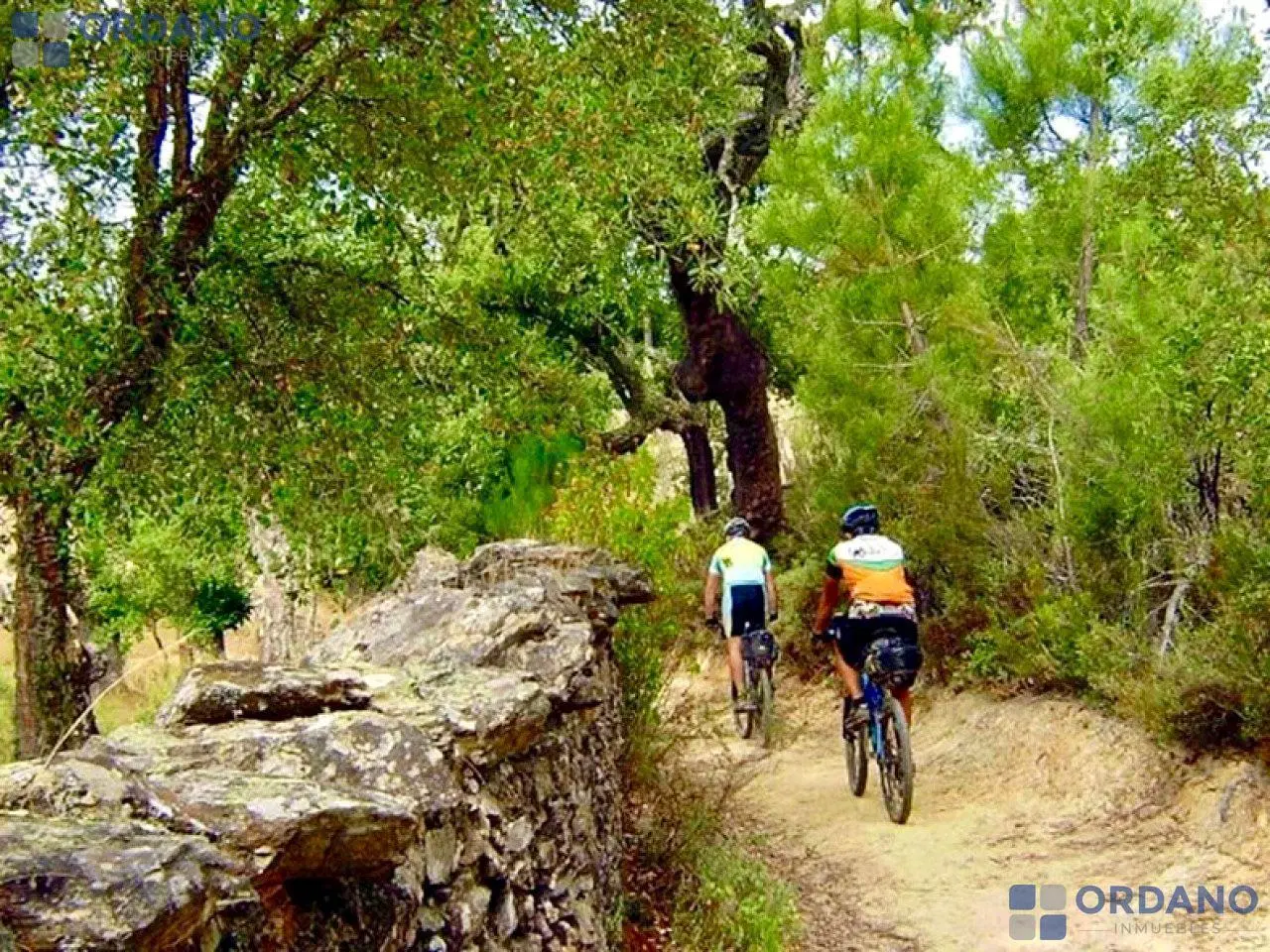 Terreno en Docta - Senda 4