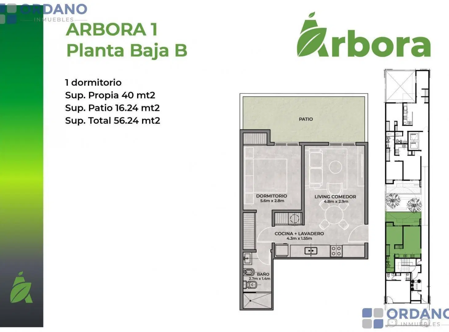 Plano 1