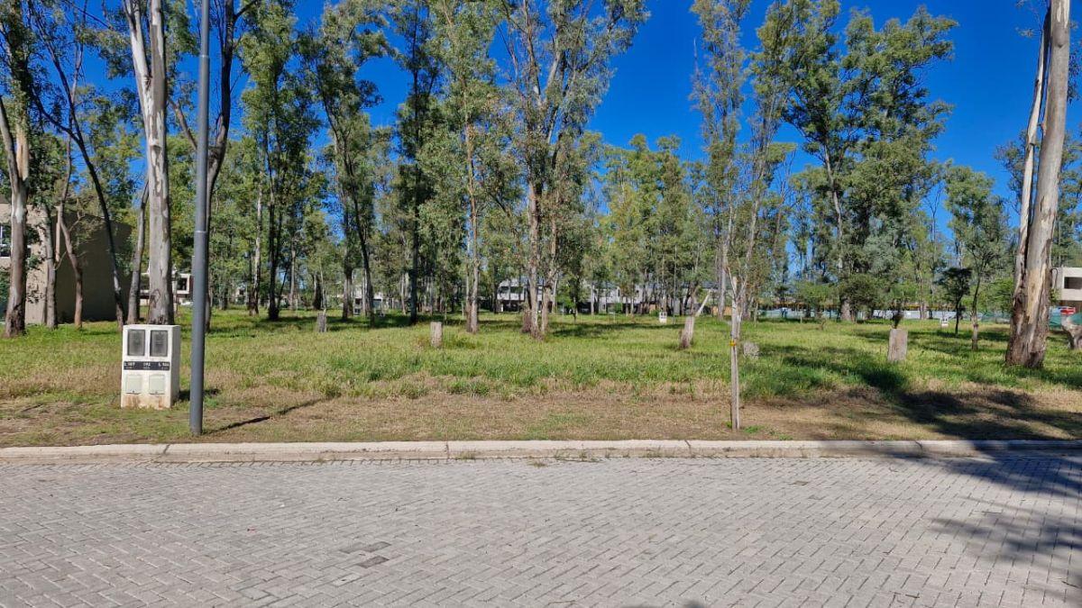 Foto de Lote Venta Nuevo Malagueño - 380 M2, imagen 2