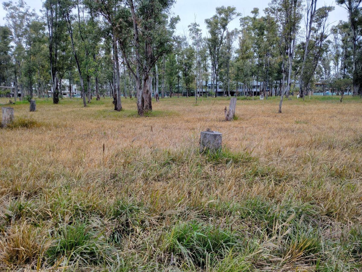 Foto de Lote Venta Nuevo Malagueño - 380 M2, imagen 5