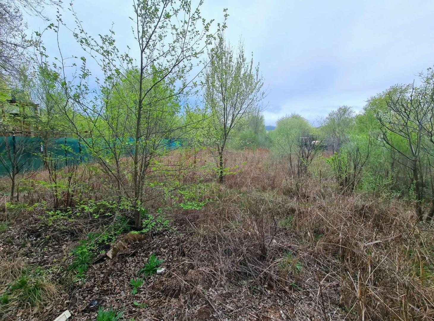 Foto de Lote de 1.083 m² en Villa Parque San Jorge, Molinari – Cosquín, imagen 3