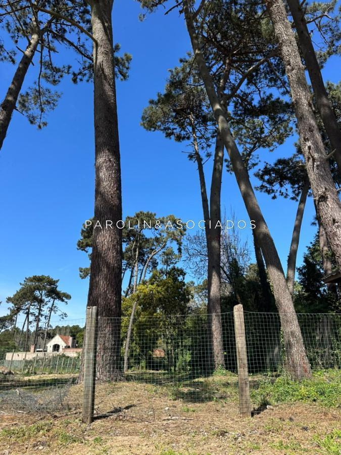 Foto de Terreno en Venta en Marly, Punta del Este, imagen 2