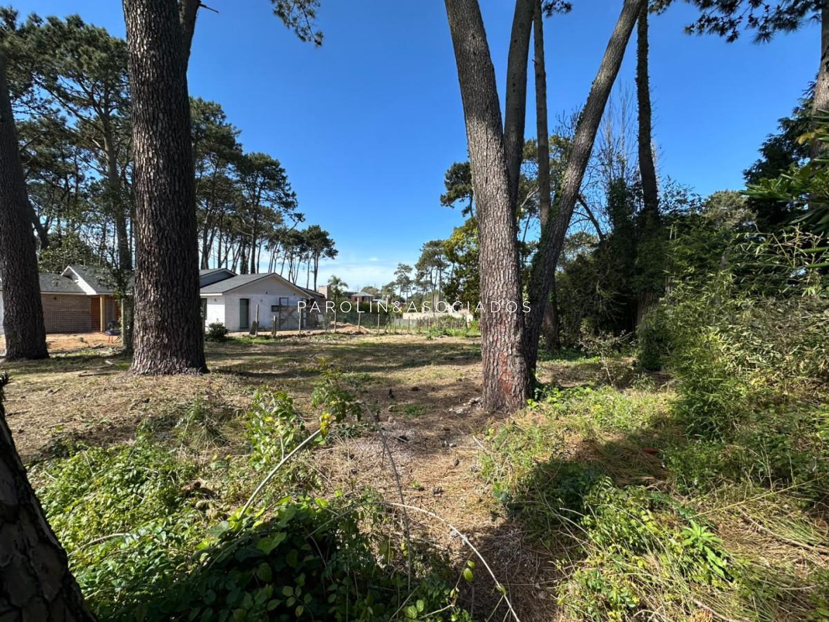 Foto de Terreno en Venta en Marly, Punta del Este, imagen 1