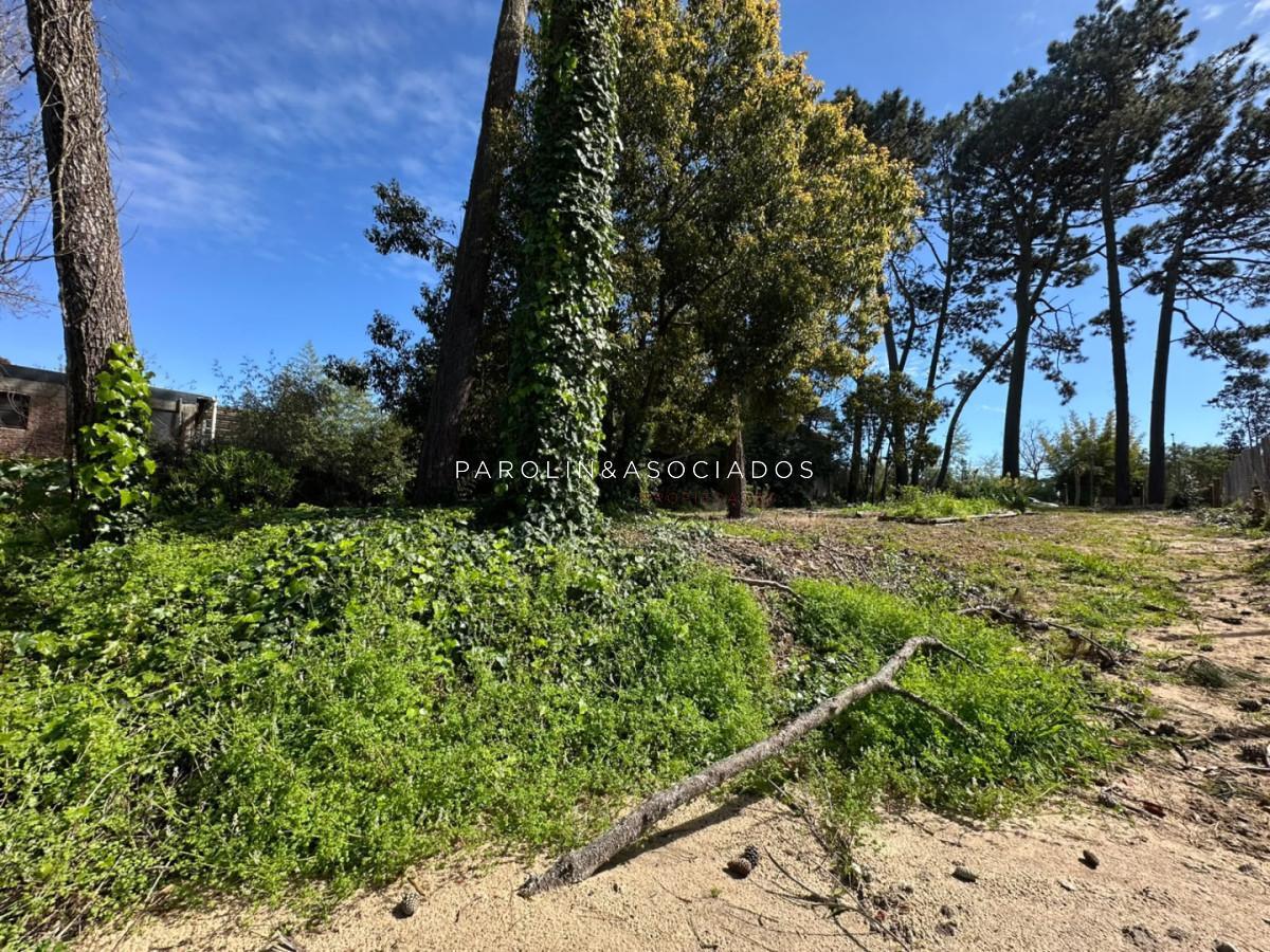 Foto de Terreno en Venta en Marly, Punta del Este, imagen 4