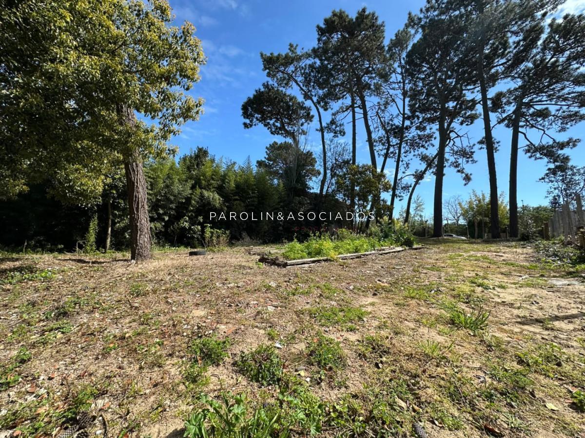 Foto de Terreno en Venta en Marly, Punta del Este, imagen 3