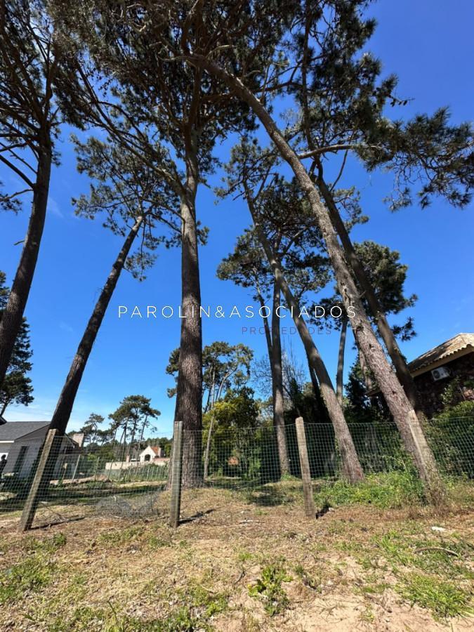 Foto de Terreno en Venta en Marly, Punta del Este, imagen 5
