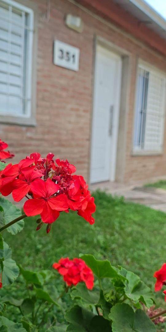 Foto de VENDO CASA DOS DORMITORIOS - JARDIN - PATIO - COCHERA, imagen 4