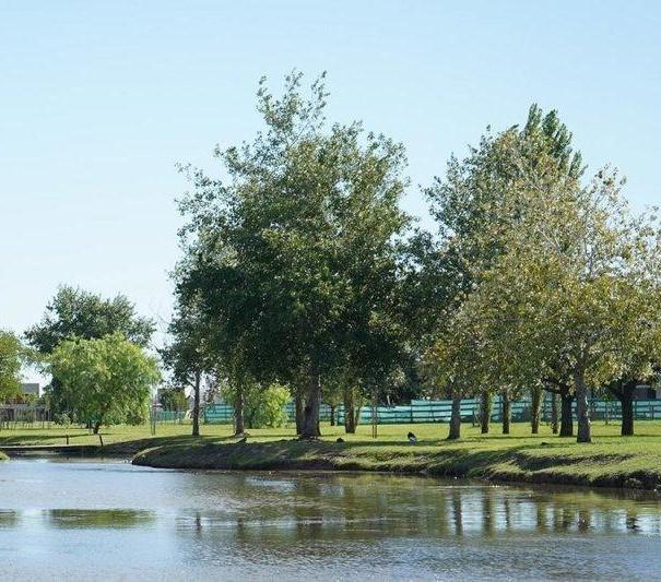 Foto de lote de 20x40, Cruz de Sur, San Vicente, imagen 2