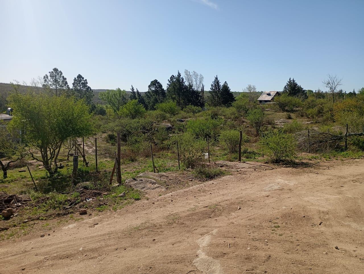 Foto de TERRENO GIGANTE BIALET MASSE, CON ESCRITURA!!!, imagen 4
