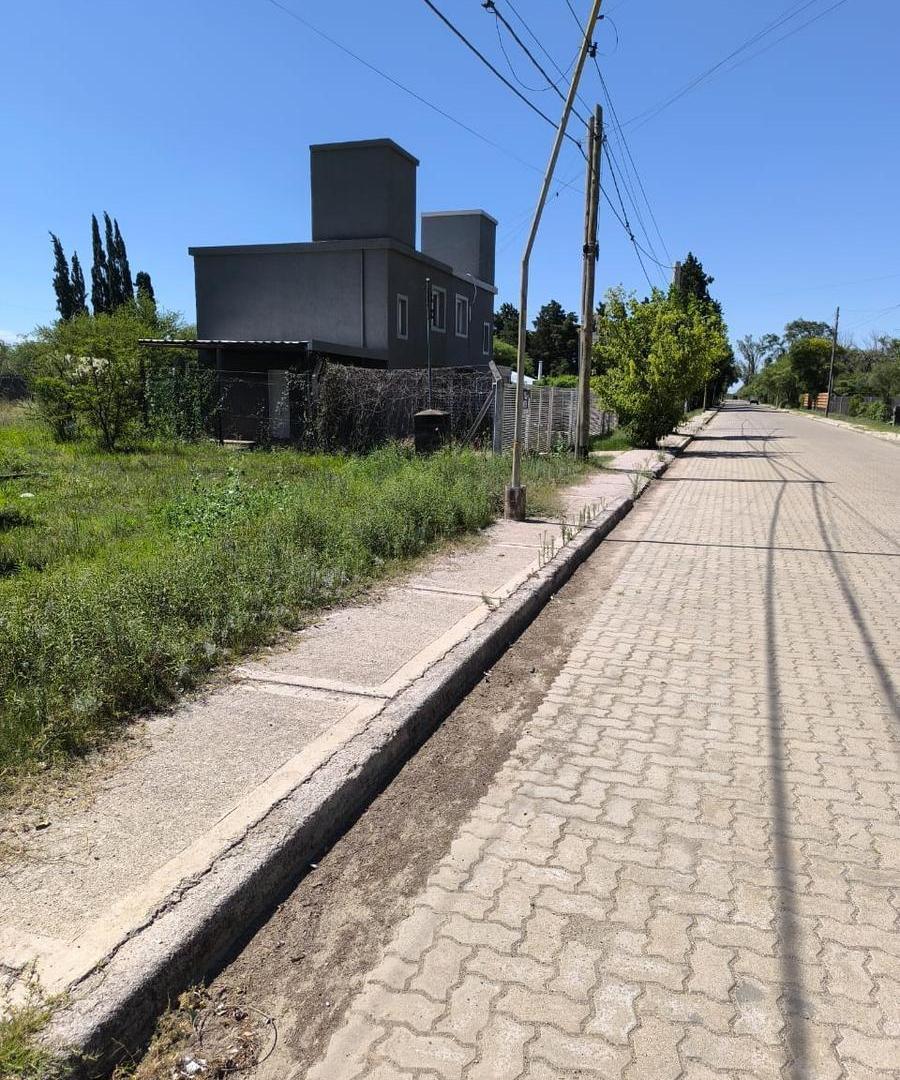 Foto de MI GRANJA TERRENO GIGANTE + CASA + GALPON, imagen 3