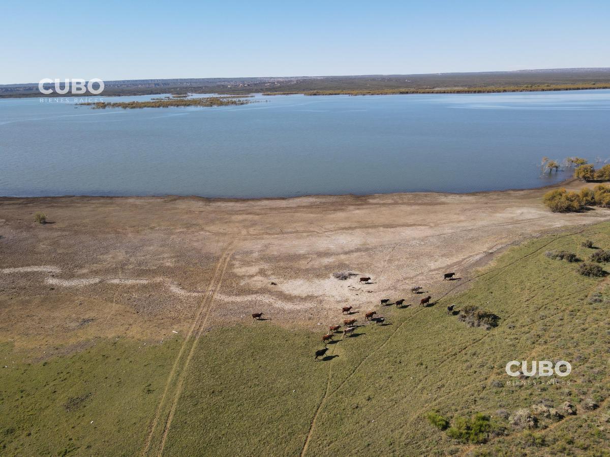 Cubo Vende Imponente Campo en Carrizal con Salida Al Dique, Mendoza 5