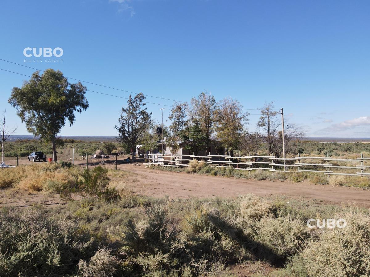 Cubo Vende Imponente Campo en Carrizal con Salida Al Dique, Mendoza 4