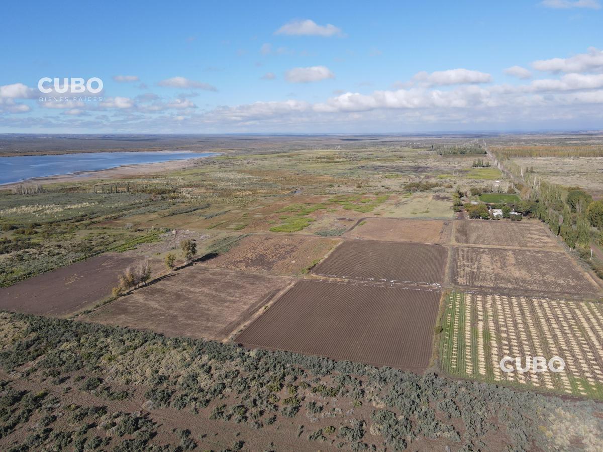 Cubo Vende Imponente Campo en Carrizal con Salida Al Dique, Mendoza 2