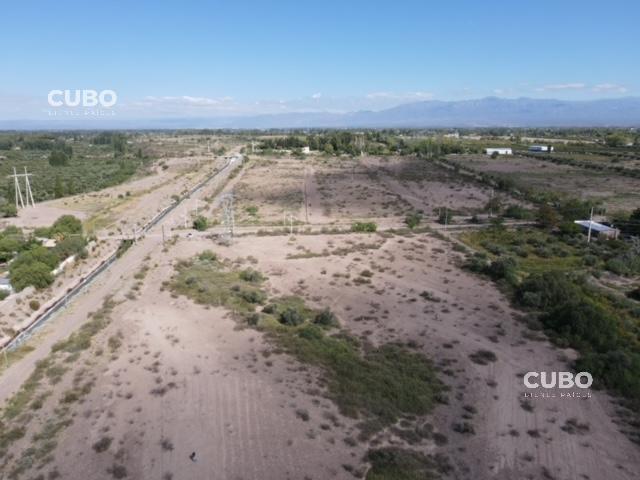 Cubo Vende Oportunidad Campo 3 Hectáreas en Cruz de Piedra Maipú Mendoza 3