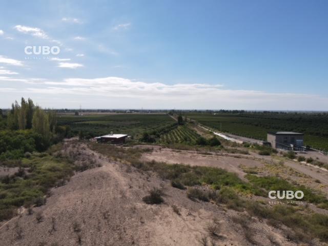 Cubo Vende Oportunidad Campo 3 Hectáreas en Cruz de Piedra Maipú Mendoza 4