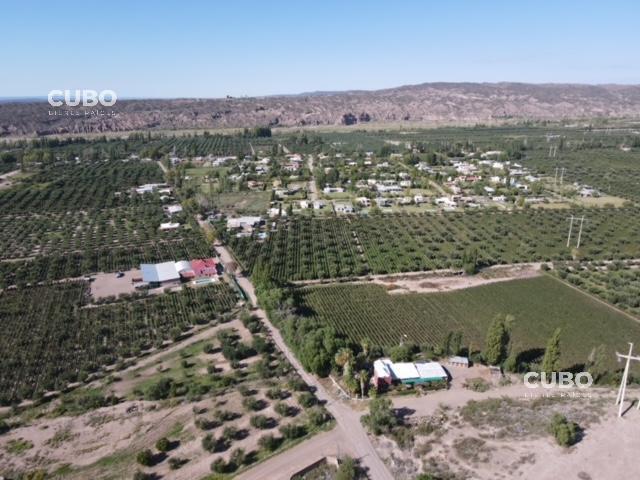 Cubo Vende Oportunidad Campo 3 Hectáreas en Cruz de Piedra Maipú Mendoza 2