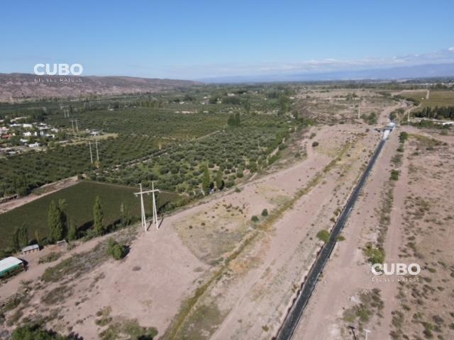 Cubo Vende Oportunidad Campo 3 Hectáreas en Cruz de Piedra Maipú Mendoza 1